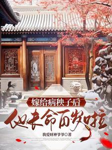 清穿之十皇子的咸鱼日记 动漫观看