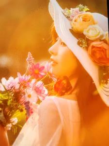 举案齐眉终是意难平岁既晏兮